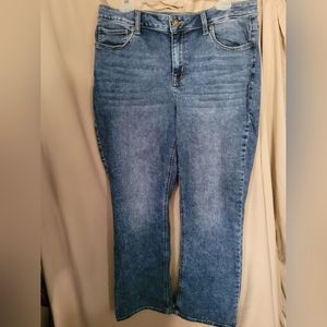 Size 14 Womens jeans by Maurices (5 pockets/ stretchy)